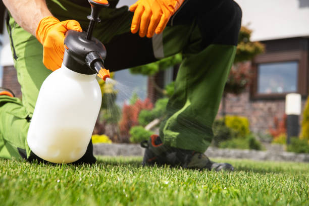 Best Pest Inspection Near Me  in Manteno, IL