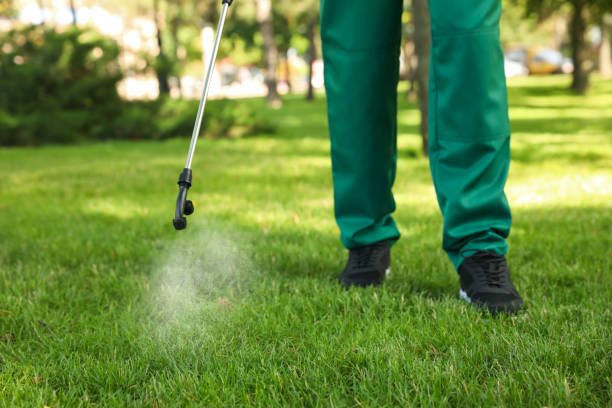 Best Mosquito Control Services  in Manteno, IL