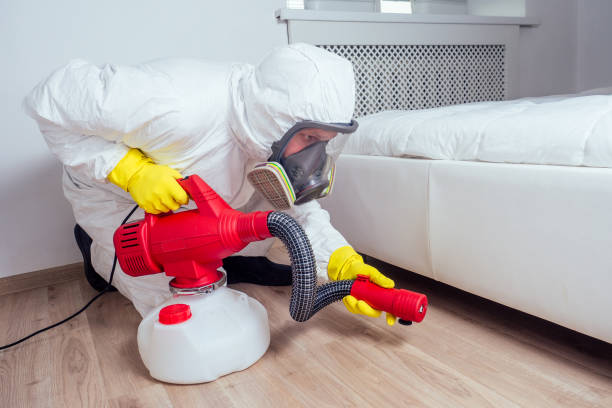 Reliable Manteno, IL Pest Control Solutions