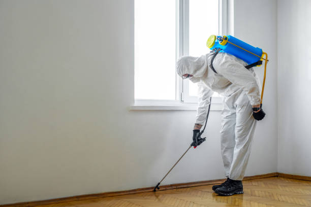Best Residential Pest Control  in Manteno, IL